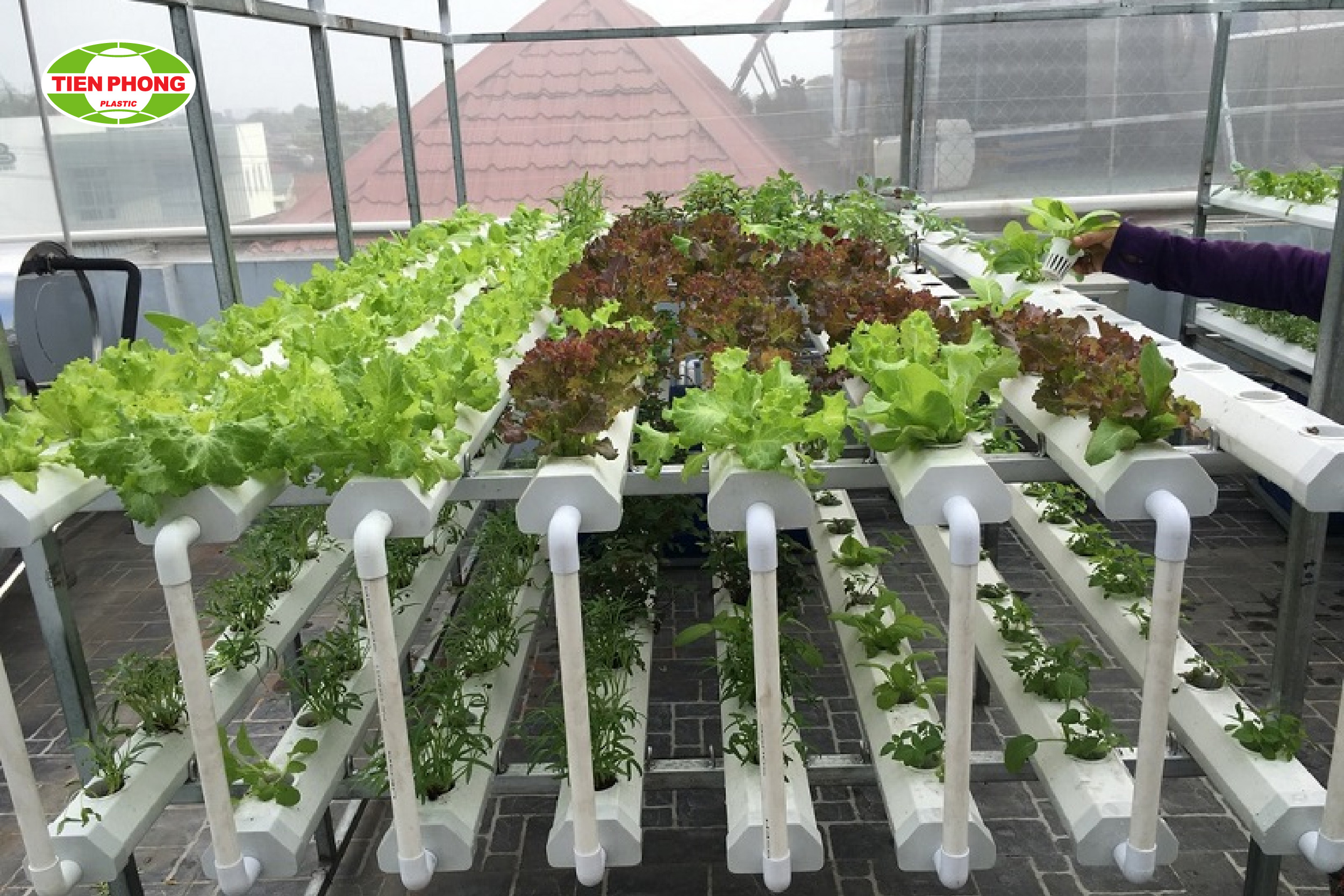 Cách Làm Tháp Trồng Rau Hiệu Quả Từ Thùng Nhựa: Hướng Dẫn Chi Tiết A-Z