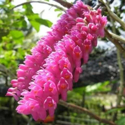 Alt text mô tả bằng tiếng Việt dưới 125 ký tự