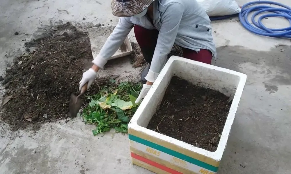 Kiểm tra độ tơi xốp của hỗn hợp đất và giá thể trước khi tiến hành ủ