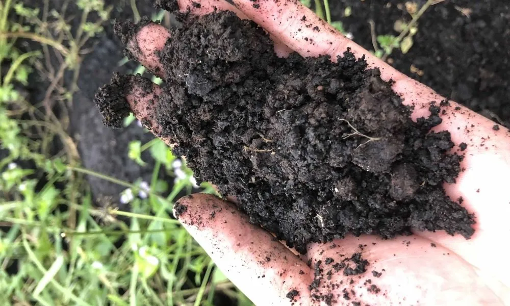 Nguyên liệu hữu cơ đa dạng bao gồm phân chuồng, giá thể và đất nền đã được tập hợp