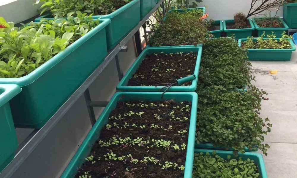 Kiểm tra và theo dõi quá trình đảo trộn đất ủ để cung cấp oxy