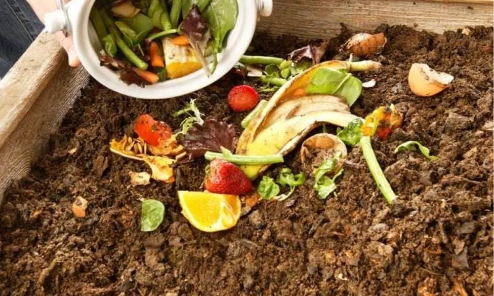 Mô phỏng hình ảnh đất ủ đạt chuẩn, có màu đen sẫm và độ tơi xốp cao