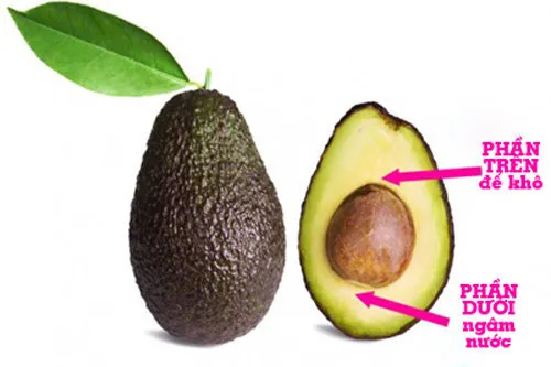 Cẩn thận tách hạt bơ và xác định đầu trên, đầu dưới của hạt