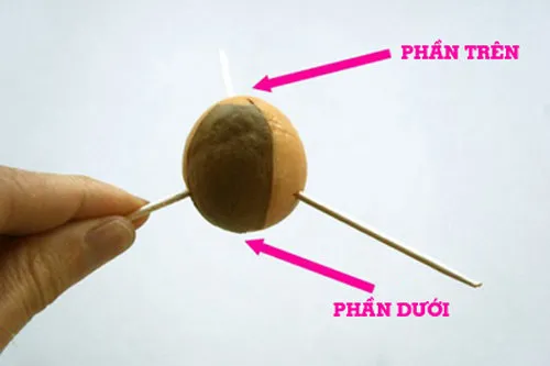 Bóc vỏ ngoài của hạt bơ và xiên 3 que tăm vào giữa hạt