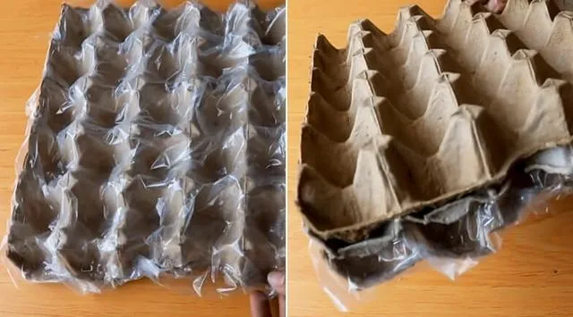 Chuẩn bị củ hành tím và vỉ trứng giấy để trồng hành không cần đất