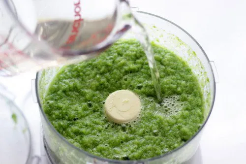 Cách Trồng Cây Mật Gấu: Kỹ Thuật Giâm Cành Và Chăm Sóc Toàn Diện