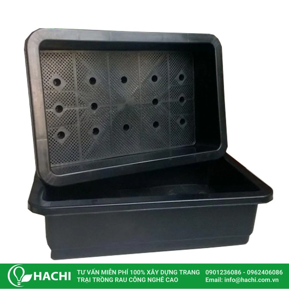 Khay nhựa chuyên dụng để trồng củ hành tây thủy canh quy mô lớn