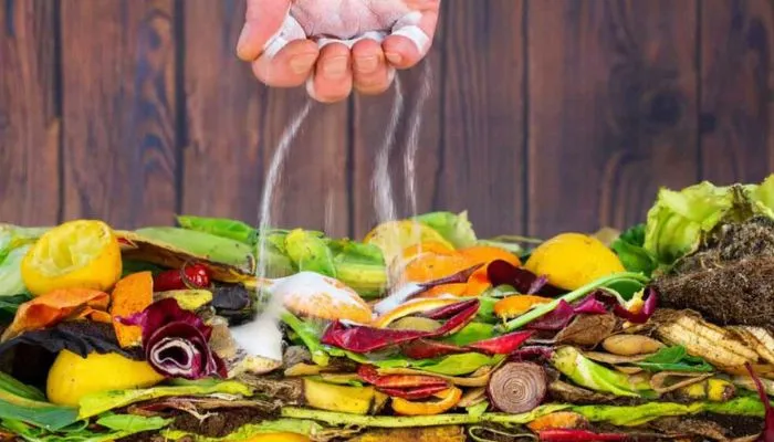 Kinh nghiệm ủ rác thải bếp