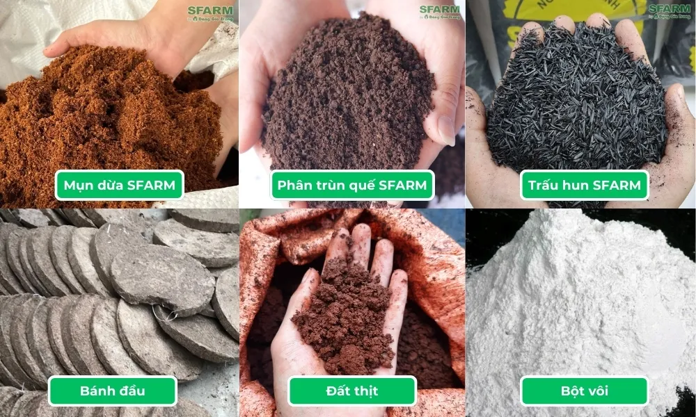 Các loại giá thể phối trộn chuyên biệt cho cây dưa lưới