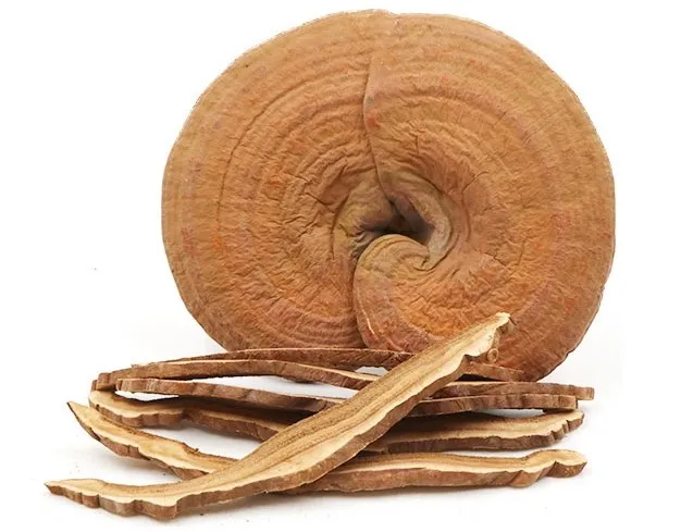 Kỹ thuật chăm sóc nấm linh chi qua các giai đoạn khác nhau là chìa khóa để đạt năng suất cao.