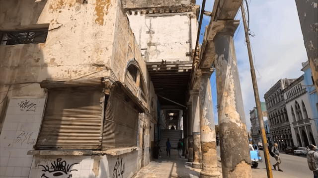 Cách Trồng Cây Lúc Lắc Đạt Năng Suất Cao Và Chăm Sóc Bền Vững