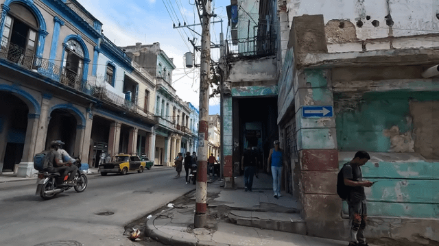 Cách Trồng Cây Lúc Lắc Đạt Năng Suất Cao Và Chăm Sóc Bền Vững