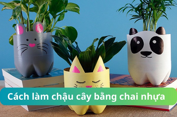 CÁCH TRỒNG GIÁ ĐỖ BẰNG CHAI NHỰA: HƯỚNG DẪN TÁI CHẾ CHAI NHỰA THÀNH CHẬU TRỒNG RAU HOÀN CHỈNH