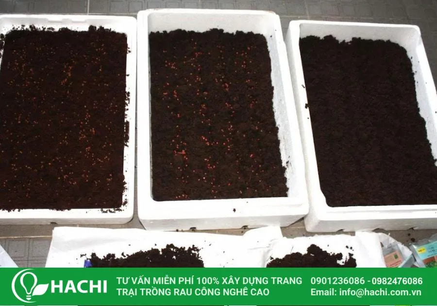 Tiến hành làm đất trồng rau trên sân thượng bằng thùng xốp