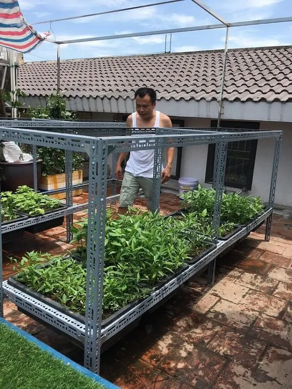 Ká»‡ sáº¯tÂ  2 táº§ng