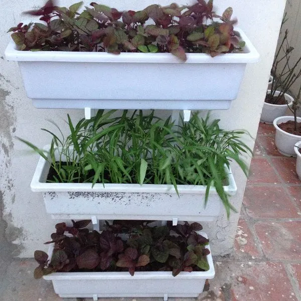 Ká»‡ á»‘p tÆ°á»ng, nhiá»u khay