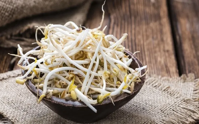 Lợi ích của việc sử dụng giá đỗ