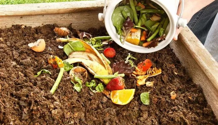 Lợi ích khi ủ phân rác thải