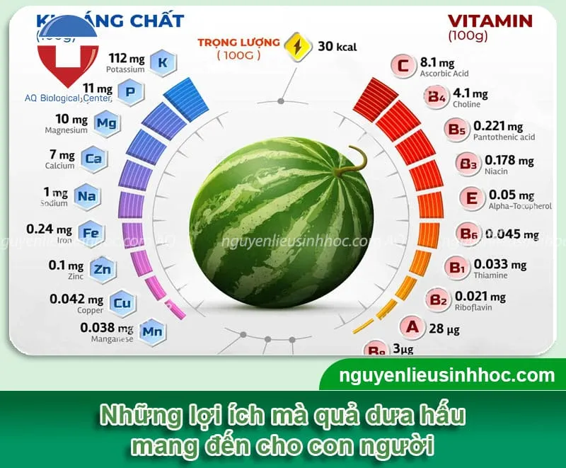 Dưa hấu hình vuông được sử dụng để trang trí trên mâm ngũ quả ngày Tết