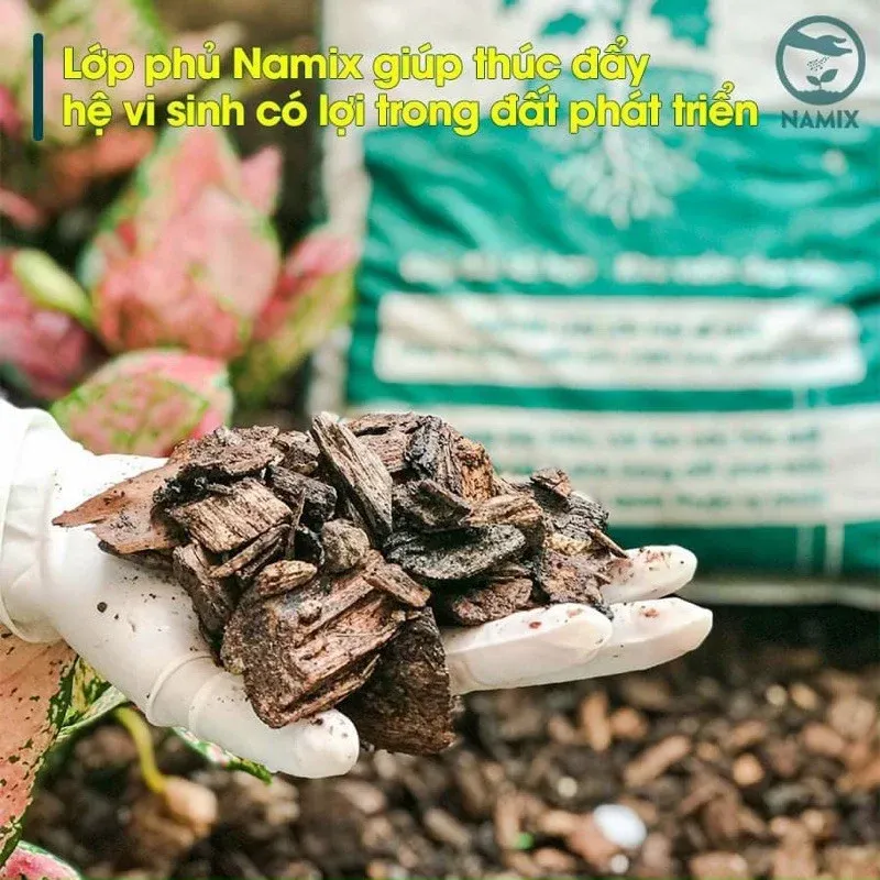 Áp dụng lớp phủ hữu cơ để duy trì độ ẩm và cải tạo đất cho cây trồng