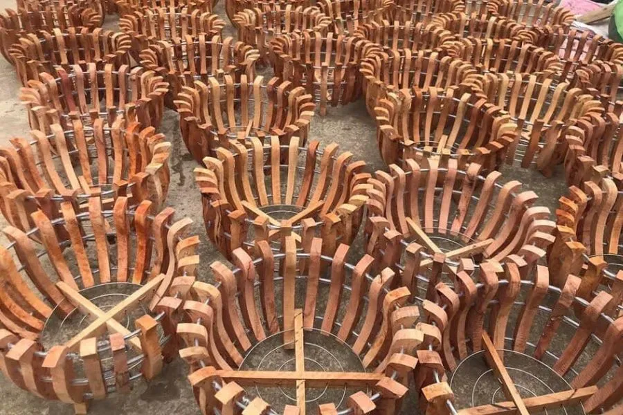 Cách chọn chậu trồng và vật liệu cố định cho lan Phi Điệp