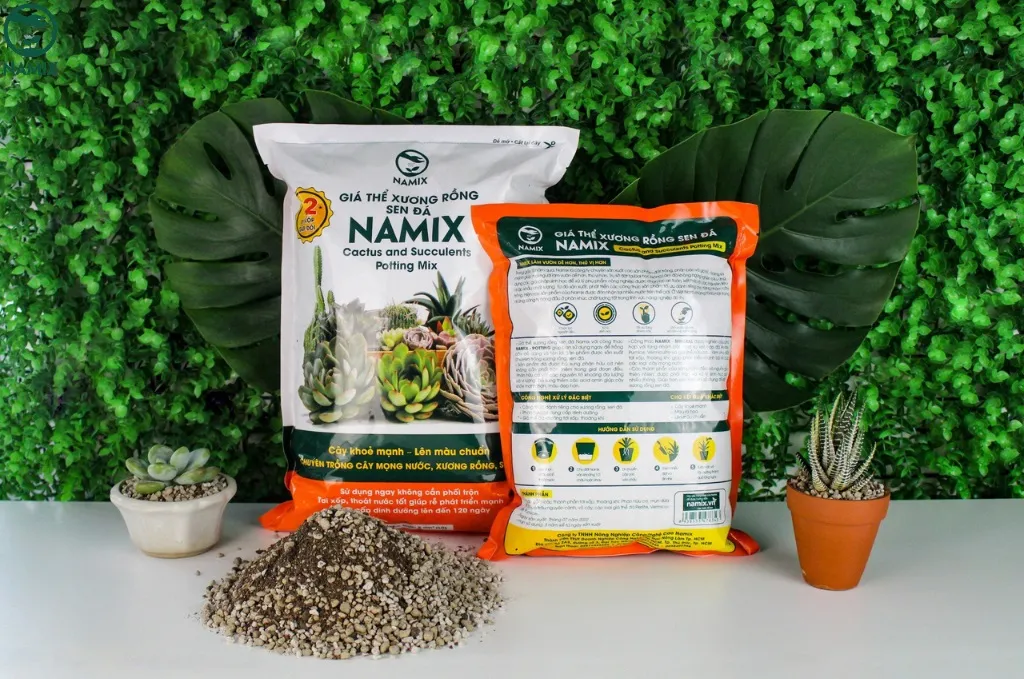 lua chon dat trong toi xop