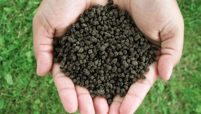 Một số lưu ý quan trọng khi bón phân dơi cho cây trồng