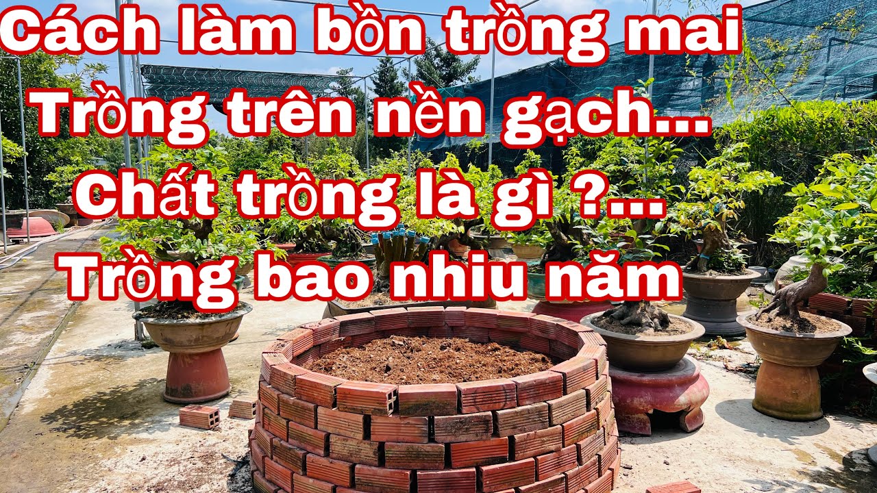 Cách Làm Bồn Trồng Cây Trên Sân Thượng Đạt Hiệu Quả Cao Nhất