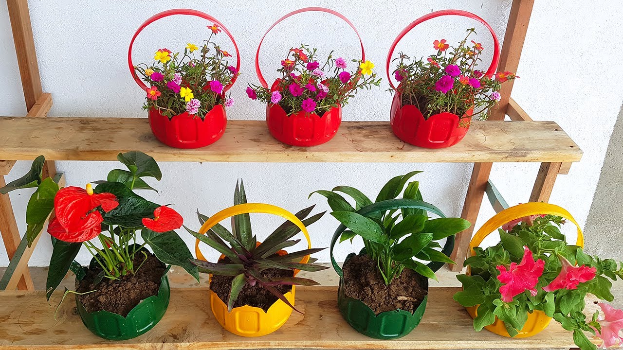 Tái Chế Chai Nhựa Thành Chậu Trồng Rau: Ứng Dụng Cho Cách Trồng Mùi Tàu