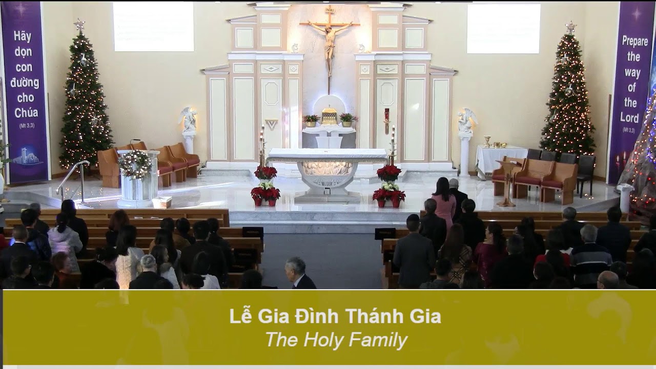 Các Cách Trồng Rau Sạch: Hướng Dẫn Toàn Diện Từ A Đến Z Cho Gia Đình