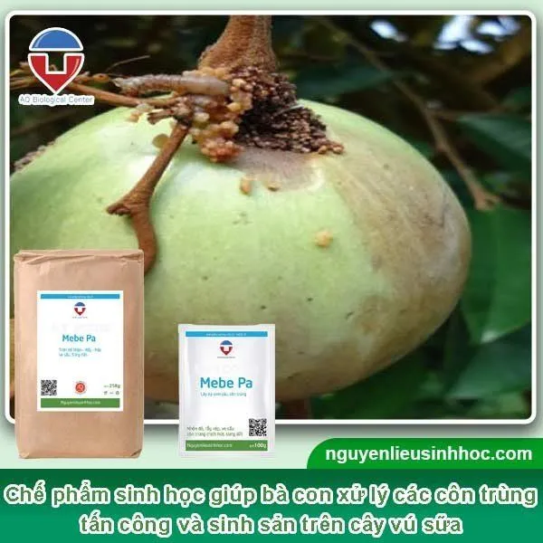 Phòng trừ các loại côn trùng gây hại, ảnh hưởng đến năng suất cây trồng, cho chất lượng trái đạt chuẩn