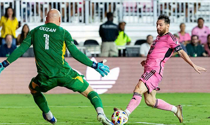 Cách Trồng Tre Cảnh: Mô Hình Làm Giàu Từ Cây Kiểng Việt Nam