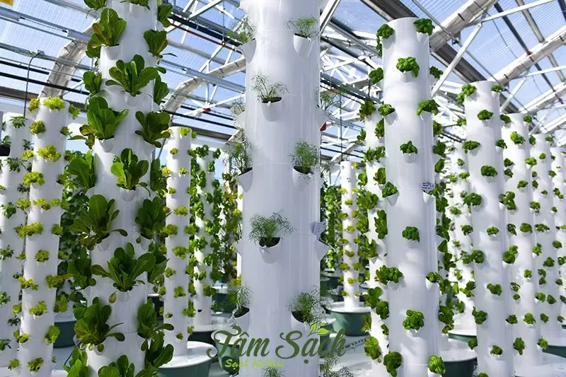 Trụ đứng trồng rau khí canh áp dụng cho ban công nhỏ hẹp
