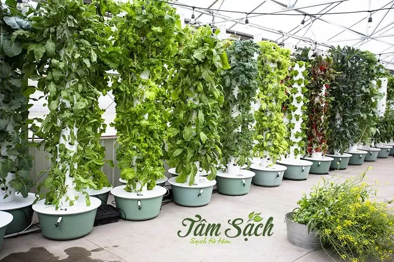 Các vật dụng cơ bản cần thiết để tự làm cách thiết kế trụ đứng trồng rau khí canh