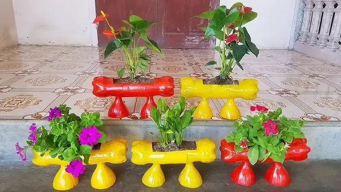 Một chậu cây ớt hiểm sai quả trồng bằng vật liệu tái chế, nhấn mạnh năng suất cao