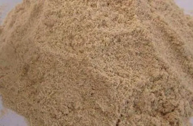 Nấm linh chi được trồng phổ biến bằng mùn cưa tươi, khô của các loại gỗ mềm