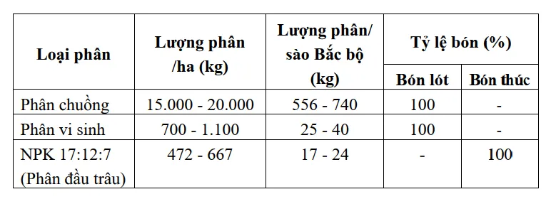 Bảng hướng dẫn bón phân NPK cho cây lô hội
