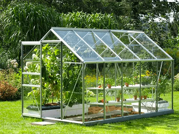 Mô hình nhà màng trồng rau mini quy mô gia đình tại ban công