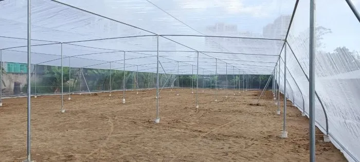 Chi tiết không gian và cấu trúc bên trong Nhà lưới mái bằng