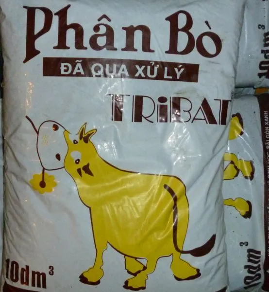 Phân bón hữu cơ đóng vai trò quan trọng trong việc cung cấp dinh dưỡng thiết yếu, đảm bảo cây kinh giới phát triển mạnh mẽ và an toàn cho sức khỏe.