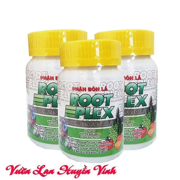 Hộp phân bón lá Root Plex được đặt cạnh một giò lan, minh họa cho việc sử dụng để kích thích rễ lan Đai Châu phát triển