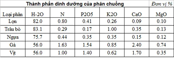 Phân chuồng được trộn với các chất độn (trấu, rơm) để tạo khối ủ tơi xốp
