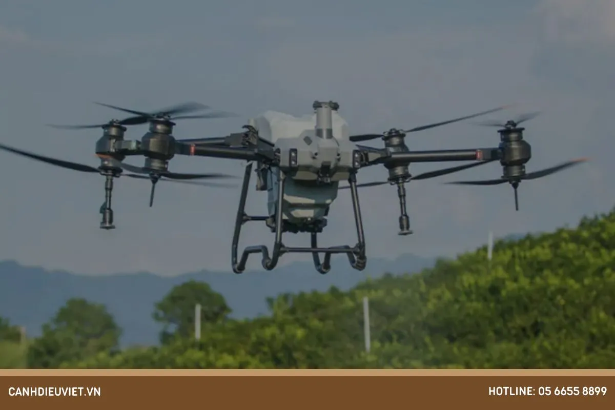 Phòng trừ sâu bệnh cho đu đủ ruột vàng bằng công nghệ phun thuốc hiện đại tăng cường hiệu quả kiểm soát