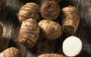 Phòng trừ sâu bệnh hại khoai môn