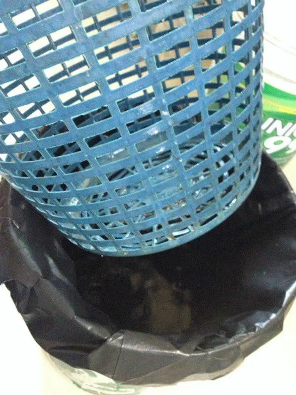 Dụng cụ cần thiết cho cách trồng rau muống không cần đất