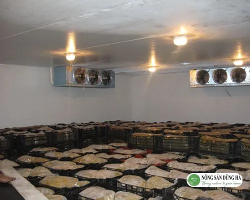 Hướng dẫn bảo quản chanh dây sau khi thu hoạch