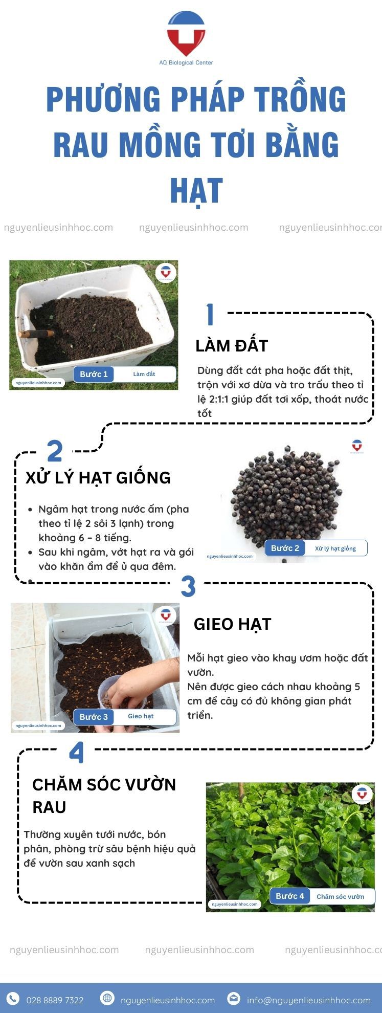 Cách Trồng Mồng Tơi Bằng Cành Đơn Giản, Thu Hoạch Sớm Ngay Tại Nhà