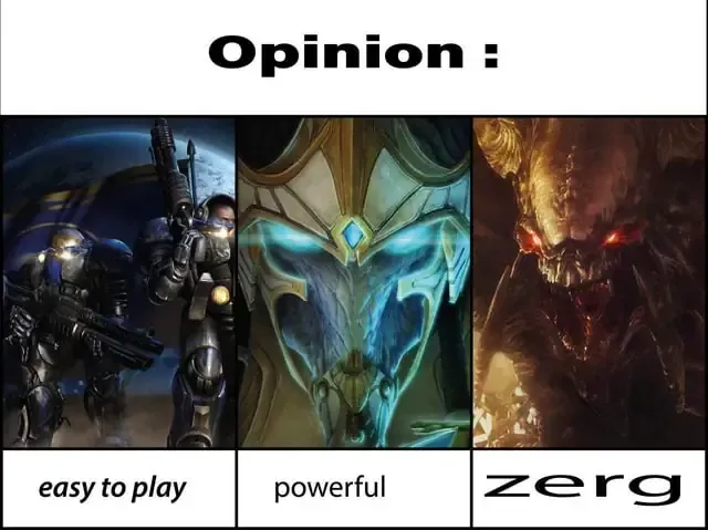 Quy trình tái tạo môi trường sống tự nhiên cho sen đá, đảm bảo cây có đủ ánh sáng và khả năng thoát nước