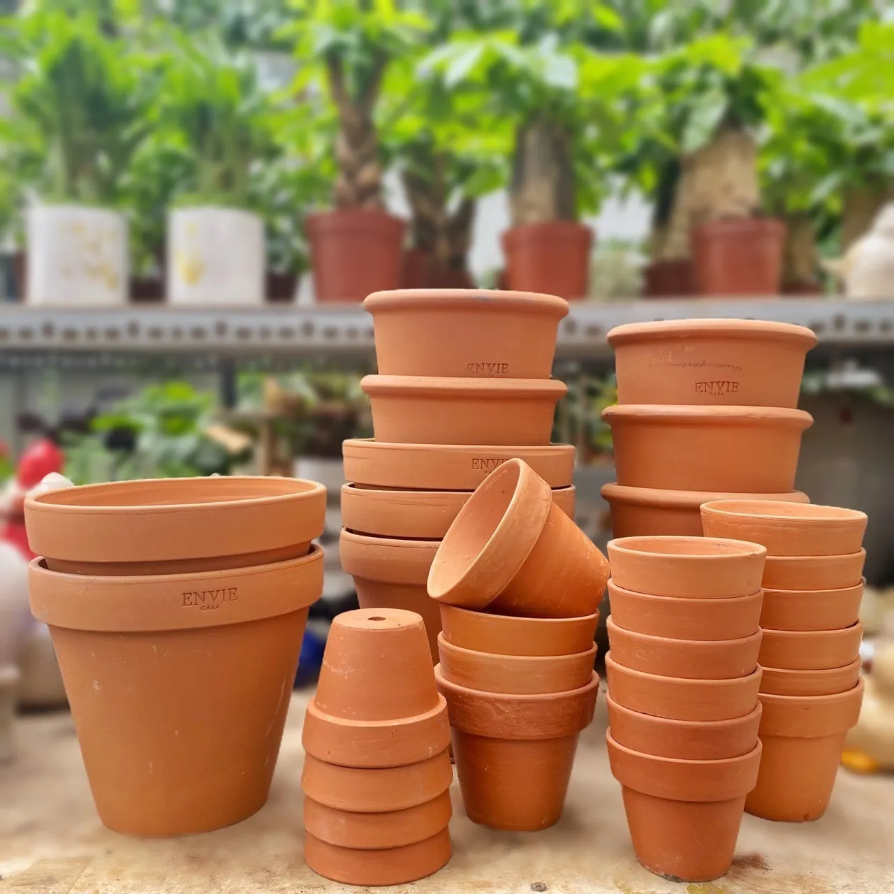 Chậu đất nung nhỏ xinh lý tưởng để trồng sen đá