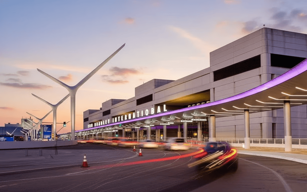 Cách Trồng Hoa Xương Rồng Bát Tiên Chi Tiết Từ A-Z Cho Người Mới Bắt Đầu